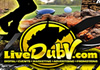 LiveDubV.com